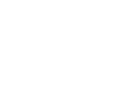 CVE Service Disabled Veteran Owned Small Business